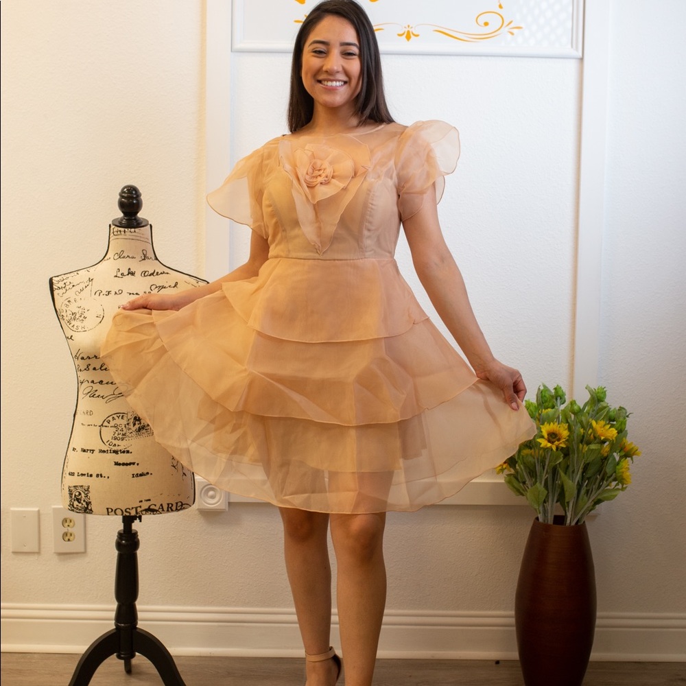 Wool chiffon short sleeve dress